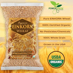 Einkorn Wheat Berries - 100% Certified Organic Einkorn Whole Wheat Grain (5 pounds) by PowerGrow Systems (Einkorn Wheat Berries 5 Pounds)