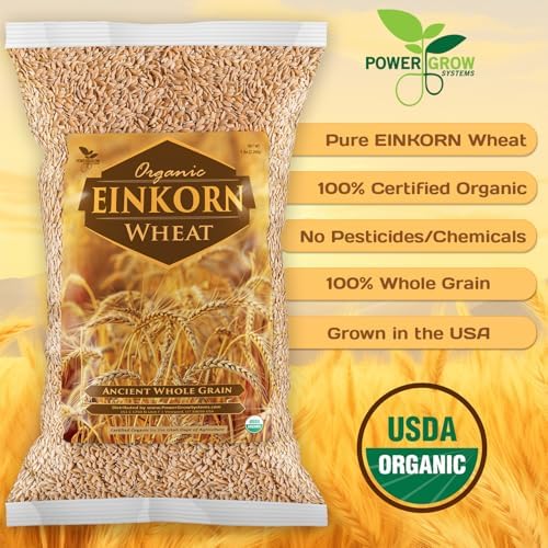 Einkorn Wheat Berries - 100% Certified Organic Einkorn Whole Wheat Grain (5 pounds) by PowerGrow Systems (Einkorn Wheat Berries 5 Pounds)