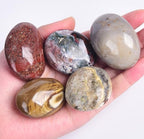 JIC Gem 5PCS Irregular Shape Ocean Jasper Palm Stones Polished Healing Crystals Pebble Stones Pocket Energy Worry Stone 1.5-1.8 inches