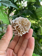 GAF TREASURES 3 Pcs Raw Desert Rose Crystals, Natural Desert Rose Stone, Natural Rough Desert Rose Crystals, Desert Rose Rough, Desert Rose Healing Crystals (Desert Rose)