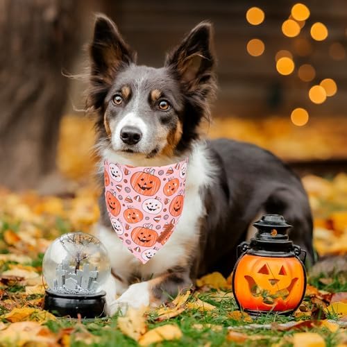 ADOGGYGO Halloween Dog Bandanas 2 Pack, Orange Pumpkin Pet Scarf, Multi Size, Adjustable Fit Halloween Bandanas for Medium Large Dogs (Large)