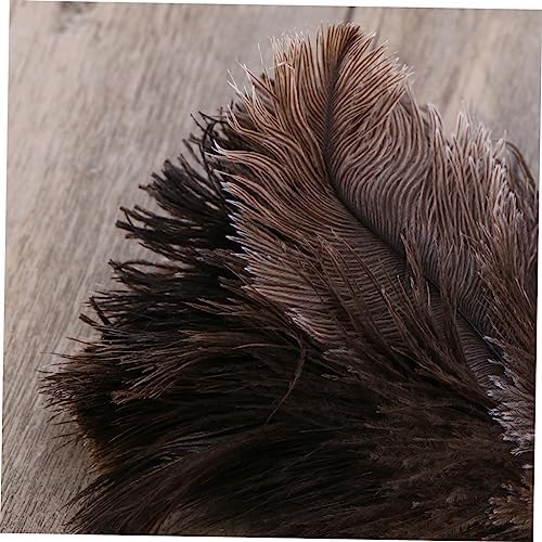 Cabilock 2pcs Ostrich Duster Cleaning Tool Wooden Handle for Efficient Dust Removal Home Office Kitchen Lightweight Hard Reach Areas