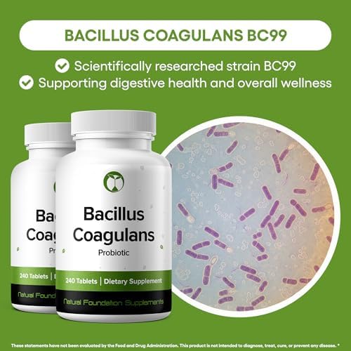 Natural Foundation Supplements Bacillus Coagulans Probiotic Supplement 240 Tablets 3 Billion CFU Probiotics for Men & Women Supports Intestinal Digestive & Gut Health (240, Bacillus Coagulans)