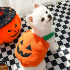 PETCARE Funny Pumpkin Dog Halloween Costume Pet Dog Cat Thick Plush Pumpkin Decoration Shirt Clothes for Small Medium Dogs Cats Puppy Cute Halloween Party Cosplay Dress Up Outfits
