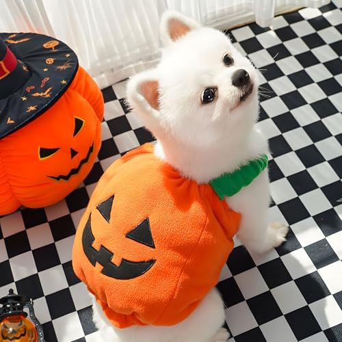 PETCARE Funny Pumpkin Dog Halloween Costume Pet Dog Cat Thick Plush Pumpkin Decoration Shirt Clothes for Small Medium Dogs Cats Puppy Cute Halloween Party Cosplay Dress Up Outfits