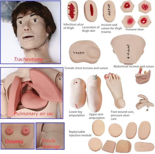Trauma Nursing Manikin , Patient Care Medical Manikin for Training–5.74ft CPR Full Body with 30+ Skills: Wound Care,Catheterization –Ideal for Nursing Students& Medical Education