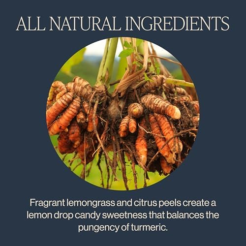 Rishi Tea Turmeric Ginger Herbal Tea - Organic Loose Leaf, Caffeine Free Blend with Spicy Ginger & Citrus, Hot or Iced - 4 Ounces, 14+ Servings