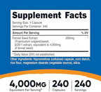 Nutricost Fennel Seed Extract 240 Capsules for 240 Servings Per Bottle - Vegan Fennel Seed Supplement