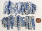 HQRP 1PC Blue Kyanite Blade Slice Natural Sparkling Roughly Gemstone Crystal Mineral Collectilble Rough Specimen Slab - Brazil