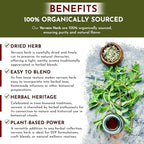 Organic Way Vervain Herb (Verbena officinalis) Cut and Sifted | Herbal Tea | Wild-Crafted | Non-GMO & Gluten Free | Resealable Bag | Raw from Albania (4 Oz)