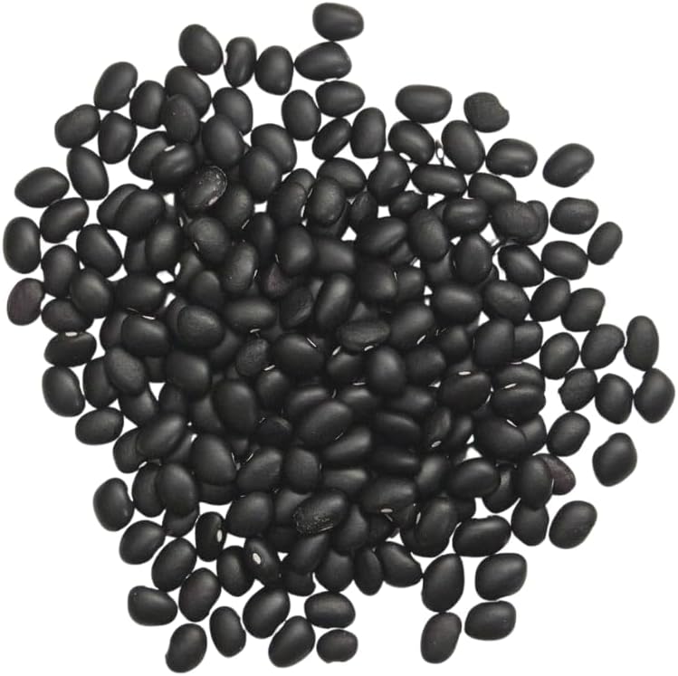 Organic Black Turtle Beans | Heirloom | NON-GMO | USA GROWN | Frijoles Tortuga | Bulk (5 Pounds)