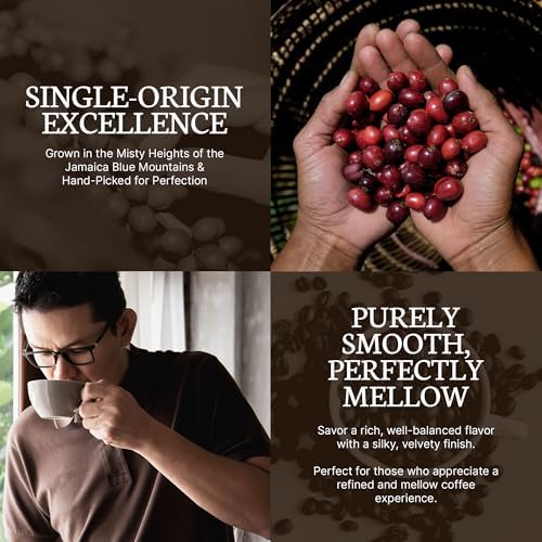 Dancing Moon Coffee Pods - 100% Jamaica Blue Mountain Medium Roast - K-Cup Compatible Keurig Coffee Pods - Small-Batch Crafted, Supports Military Charity - 12 Cups