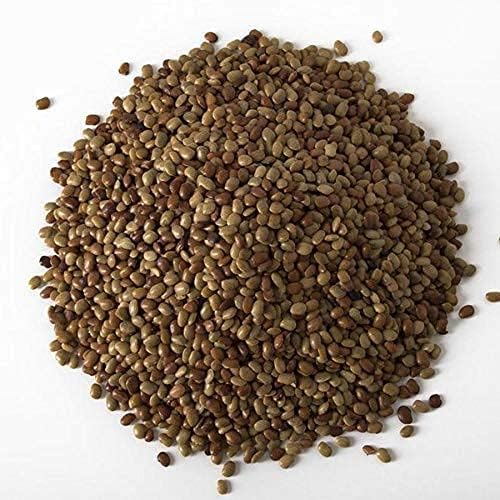 NY SPICE SHOP Horse Gram Lentils – 1.5 Pound Horse Gram – Indian Kulthi Beans – Muthira Seeds – Macrotyloma uniflorum –100% Natural – Full of Fiber & Protein