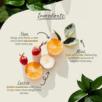 Organsia Herbal Tea -Yuzu, Lychee & Mint - Certified Organic - Caffeine Free