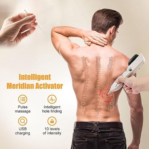 TsoLay Electric Acupuncture Pen, Rechargeable Digital Meridian Massage Pen with 3 Massage Heads, 10 Gears are Adjustable, for Muscles Back, Foot, Neck, Shoulder, Leg Pain Release