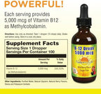 Nature's Life B-12 Drops, Methlycobalamin 4 oz (2 Fl Oz (Pack of 1))