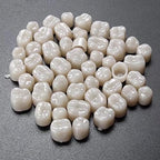 New 2 Packs Dental Temporary Crown Material for Anterior + Molar Teeth Veneers