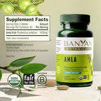 Banyan Botanicals Organic Amla Tablets - Natural Vitamin C for Collagen Support & Immune Health - Amalaki Indian Gooseberry for Glowing Skin, Hair & Healthy Digestion - 90 Tablets - Non-GMO, Vegan*