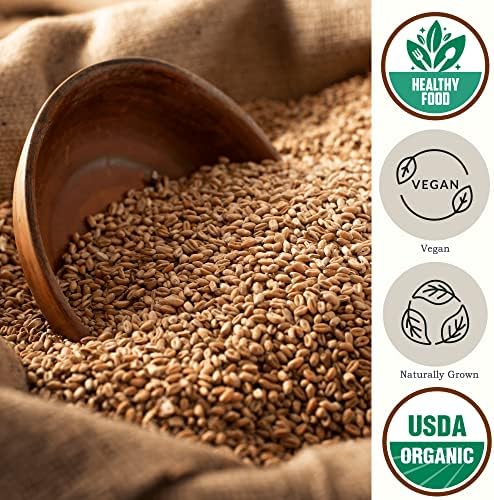 Be Still Farms Spelt Farro Grain Organic 5.8 lb - Whole Wheat Berries Bulk - Ancient Grains Ideal for Flour, Bread - High in Protein | Similar to Einkorn | USA Grown | USDA Certified | Vegan | Non-GMO