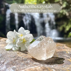 Anima Clear Quartz Crystal – Large 1.6–2" Natural Raw Clear Quartz Stone for Clarity, Energy & Amplification – Ethically Sourced, Presented in Elegant Gift Box