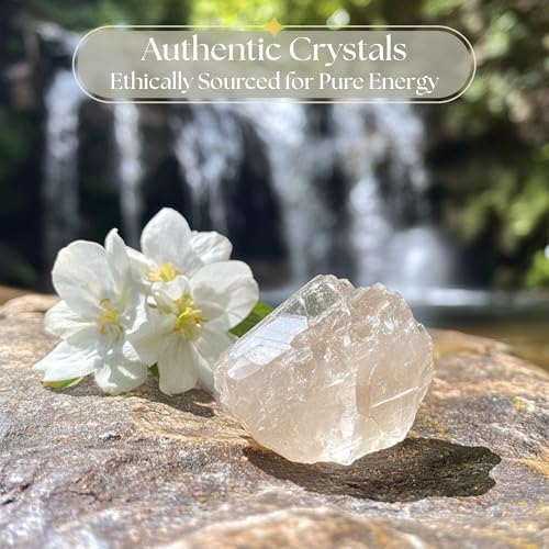 Anima Clear Quartz Crystal – Large 1.6–2" Natural Raw Clear Quartz Stone for Clarity, Energy & Amplification – Ethically Sourced, Presented in Elegant Gift Box