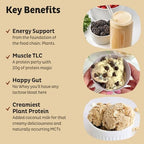 KOS Vegan Protein Powder Erythritol Free, Vanilla - USDA Organic Pea Protein Blend, Plant Based Superfood Rich in Vitamins & Minerals - Keto, Dairy Free - Meal Replacement for Women & Men, 15 Servings