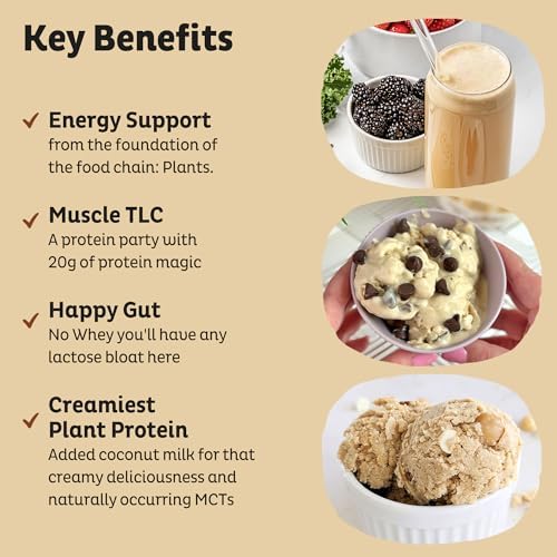 KOS Vegan Protein Powder Erythritol Free, Vanilla - USDA Organic Pea Protein Blend, Plant Based Superfood Rich in Vitamins & Minerals - Keto, Dairy Free - Meal Replacement for Women & Men, 15 Servings