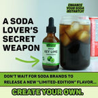 FLAVOR VALLEY Key Lime Concentrate | Flavor Over 100 Drinks, Sodas, Cocktails, Mocktails – Real Key Lime Tang | Non GMO – Craft Your Drinks. Your Way.