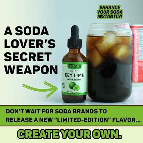 FLAVOR VALLEY Key Lime Concentrate | Flavor Over 100 Drinks, Sodas, Cocktails, Mocktails – Real Key Lime Tang | Non GMO – Craft Your Drinks. Your Way.