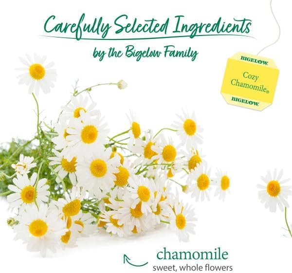 Bigelow Tea Cozy Chamomile Herbal Tea, Caffeine Free Tea with Chamomile Flowers, 20 Count Box (Pack of 6), 120 Total Tea Bags