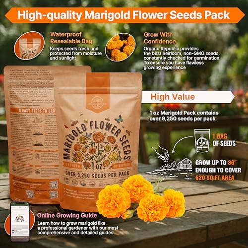 Marigold Seeds Pack 1 oz - Over 9,250 Non-GMO Heirloom Marigold Seeds for Planting Indoor & Outdoor Gardening, Flower Seed for Planting Home and Garden, Flowers Seed in Individual Packet