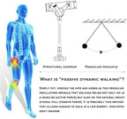 Bionic Body Power Walking Aids,Portable Mobility Upright Walker Walking Aid Lifting Adjustable Walking Aid,3 Levels of Adjustable Strength Left Leg Medium (Left Leg, Medium)