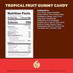 Tropical Fruit Jelly Candy Mix 1-Pound Bag | Vegan Gummies with Real Fruit Puree | Assorted Flavors | Gelatin Free Plant Based Texture | Dye Free Candy | Naturally Flavored