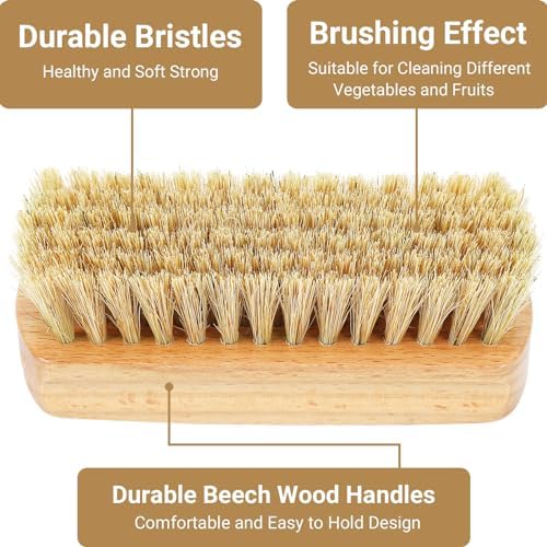 Vegetable Brush,2 Veggie Wash Brushes Potato Brush Cleaning Brush for Potato Carrot Cucumber and Fruits Vegetable Brush Scrubber for Food