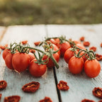 Principe Borghese Tomato - 50 Seeds - Italian Heirloom Sun-Drying Tomato, Open-Pollinated Variety, USA-Grown, Non-GMO Vegetable Seeds for Planting Outdoors in The Home Garden, Thresh Seed Company