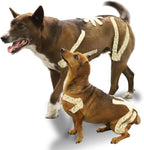 Kinesio Canine Kinesiology Tape for Dogs, 2 in. x 16.5 ft. (Creme)
