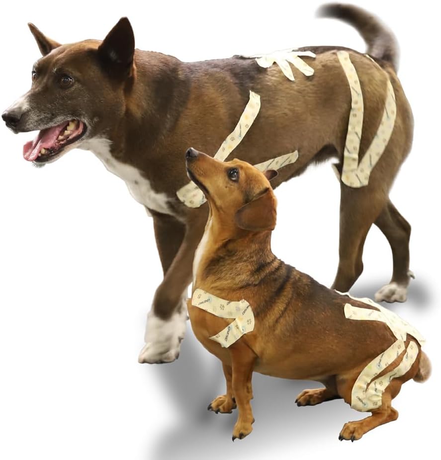 Kinesio Canine Kinesiology Tape for Dogs, 2 in. x 16.5 ft. (Creme)
