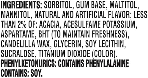 Dentyne Ice Sugar Free Gum - Peppermint 16-Piece Pack (9 Packs)