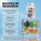 Activated Charcoal Pills for Gas Relief and Debloat, CharcoBiotic with Probiotics Digestive Enzymes Shilajit Peppermint Fennel Ginger Turmeric Licorice Root Aloe Vera Ceylon Cinnamon, Clean Nutra 90ct