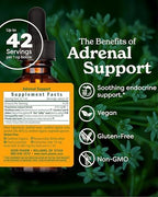 Herb Pharm Adrenal Support Liquid Herbal Formula with Eleuthero and Licorice Liquid Extracts - 1 Ounce