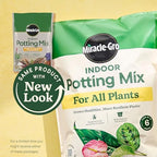 Miracle-Gro Indoor Potting Mix, Blended for a Variety of Houseplants, Feeds for up to 6 Months, 6 qt., 2-Pack