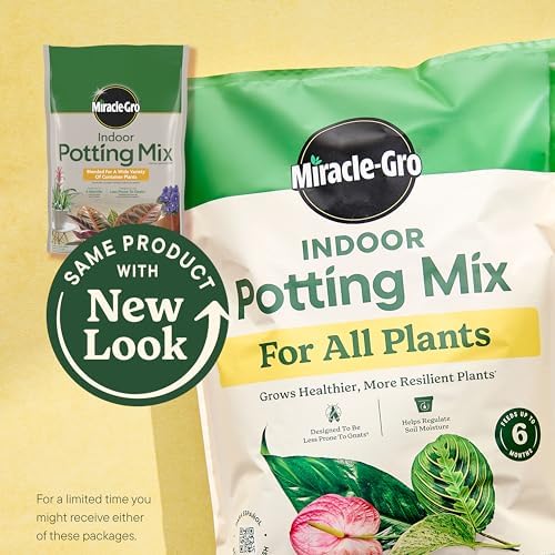 Miracle-Gro Indoor Potting Mix, Blended for a Variety of Houseplants, Feeds for up to 6 Months, 6 qt., 2-Pack