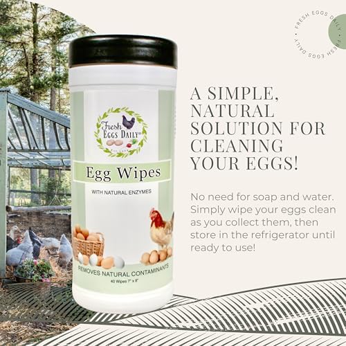 Fresh Eggs Daily Egg Wipes – Enzyme-Based Egg Cleaner for Backyard Chickens, No Rinse Needed, Natural Enzyme Formula – 40 Natural Cleaning Wipes