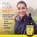 Nature's Life B-12 Drops, Methlycobalamin 4 oz (2 Fl Oz (Pack of 1))