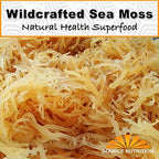 1 lb Wild Crafted Raw Sea Moss - Perfect for Gel & Smoothies, Clean Ocean Harvest, Hand Picked & Sun Dried - Bulk Irish Moss Superfood