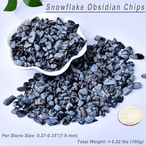 Erliway 100g Natural Snowflake Obsidian Crystal Chips, 7-9mm Tumbled Chips Crushed Crystal Stone, Polished Crystal Chip for Fish Tank, Healing Tumbled Crystal Chip for Reiki Jewelry Making Home Décor