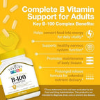 21st Century B-100 Complex Prolonged Release Tablets, 60 Count (Pack of 1), High Potency Vitamin B Complex for Nervous System, Energy Support, Includes Vitamin B1, B2, B6, Biotin & Calcium