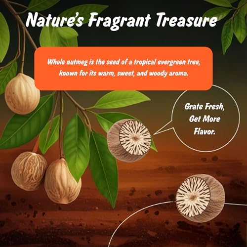 Spice Profile USDA Organic Whole Nutmeg, Lab Tested for Heavy Metals, Resealable 3.5 oz Pouch, Jaiphal, Nuez Moscada