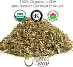 Organic Way Catnip Leaf and Flower Cut & Sifted (Nepeta cataria) - Herbal Tea | European Wild-Harvest | Kosher & USDA Certified | Vegan, Non-GMO & Gluten Free | 100% Raw from Albania (1/4LBS / 4Oz.)