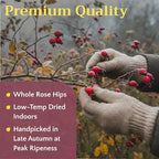 Rose Hips Tea - Dried Whole Rosehip Fruit Herb (Rosa Canina) - Natural Rose Hip Herbal Tea Loose, 8oz